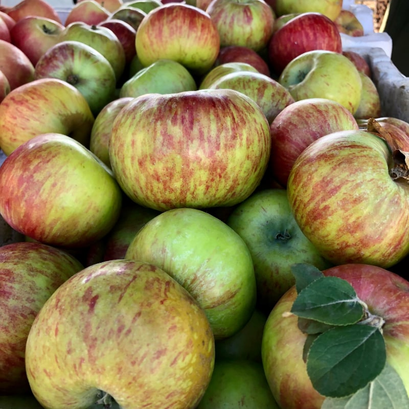 apples melbourne farmers market